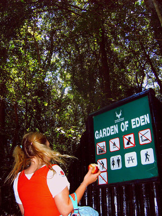 Garden of Eden, South Africa, 2008