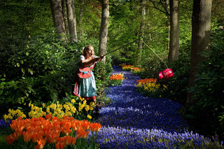 Keukenhof, The Nederlands, 2013